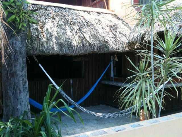 Mayan Hostel Cancún Exterior foto